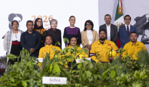 Sheinbaum anuncia Jornada Nacional de Reforestación 2026; plantarán 6.6 millones de árboles en todo el país